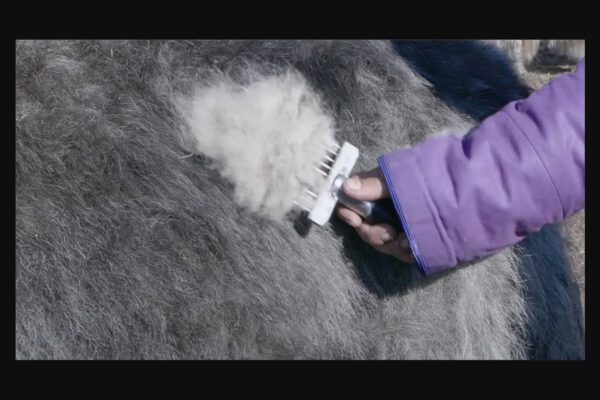 ヤクニットが上質な理由と、地域社会への貢献